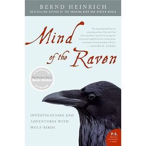 Mind of the Raven: Investigations and Adventures with Wolf-Birds -- Bernd Heinri
